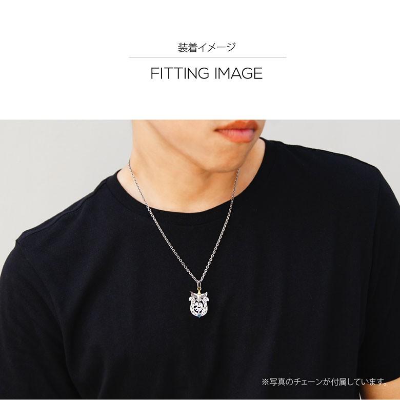 シルバーネックレス pe2178-ch シルバーアクセサリー ネックレス メンズ 馬蹄・ホースシュー c0065の50ｃｍチェーン付の画像