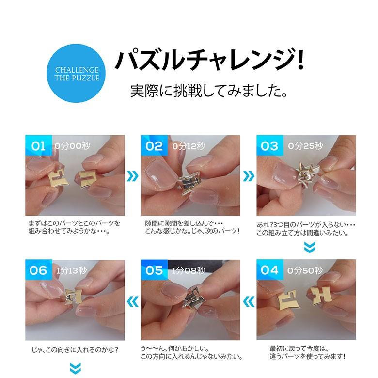 シルバー アクセサリー セット 鳳凰 シルバー ペンダントトップ (チェーンなし) ネックレス