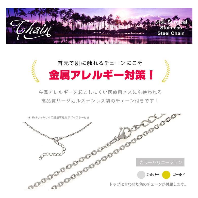 ハワイアンフィッシュフック pe2201 シルバーアクセサリー ネックレス メンズ フィッシュフック ステンレスチェーン付き |  | 10