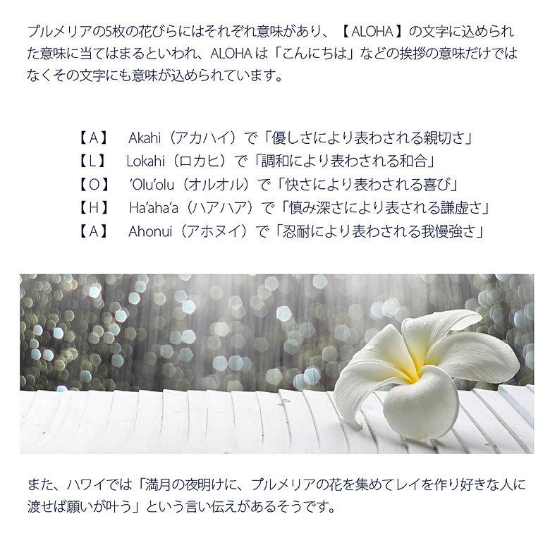 ハワイアンネックレス pe2215 シルバーアクセサリー ネックレス レディース プルメリア 45ｃｍ＋5ｃｍのステンレスチェーン付 |  | 03