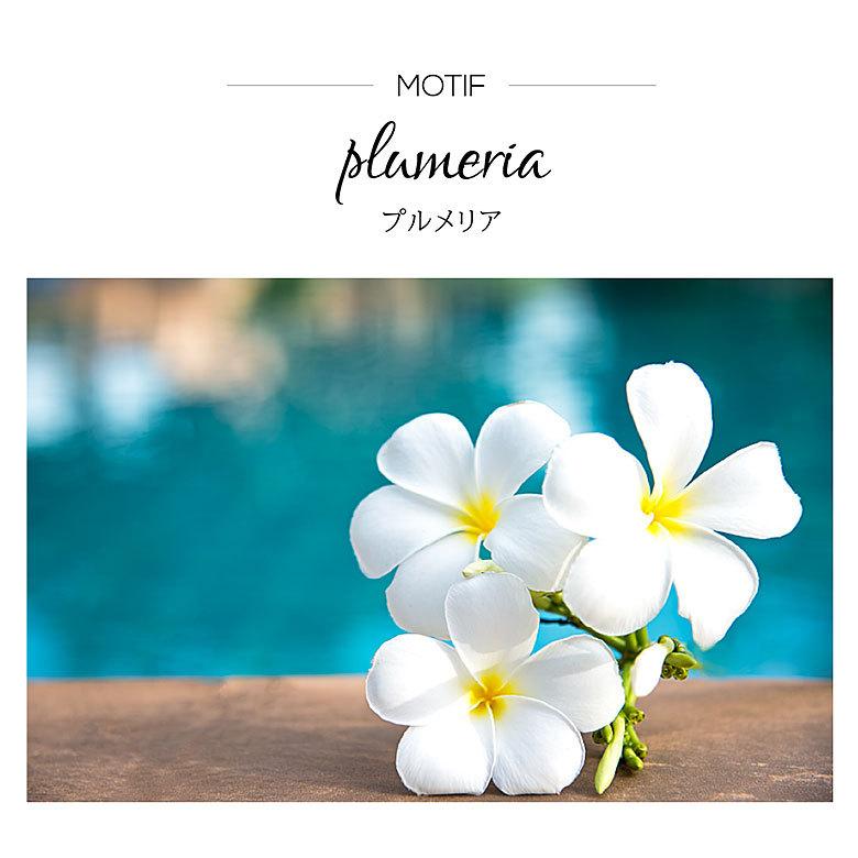 ハワイアンネックレス pe2216 シルバーアクセサリー ネックレス レディース プルメリア 40ｃｍ＋5ｃｍのステンレスチェーン付 |  | 02