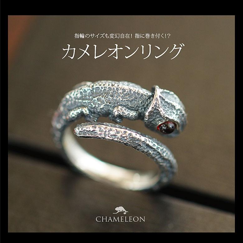 フリーサイズシルバーリングr0807 シルバーアクセサリー リング フリーサイズシルバーリングr0807 シルバーアクセサリー リング