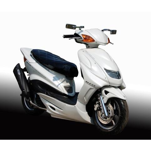 シグナスX（SE12J)／レーシングダクトパネル(未塗装品） : 2りん4りん