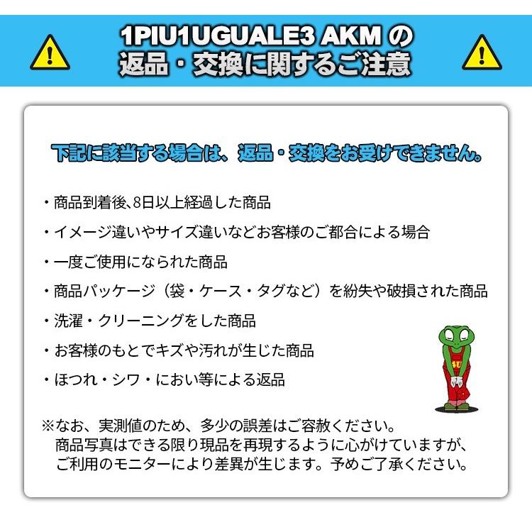 1PIU1UGUALE3 ウノピゥ ウノ ウグァーレトレ ロゴプルオーバーパーカーの画像