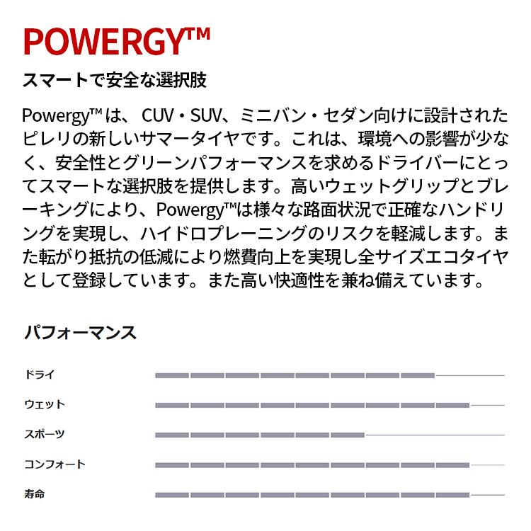 255/40R19 100Y ピレリ パワジー PIRELLI POWERGY 255/40-19 サマータイヤ 新品1本価格の画像