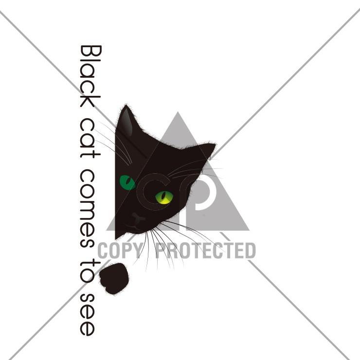 パーカー メンズ スウェット パーカー プルオーバー 長袖 フード付き 猫 黒猫 ブラックキャット おもしろ ロゴ チラッと猫 Dp8158 301 通販 Yahoo ショッピング