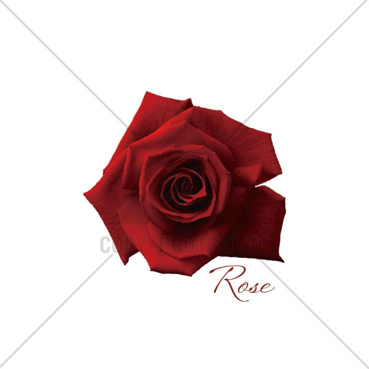 Tシャツ メンズ 半袖 ブランド ユニセックス ローズ バラ ワンポイント