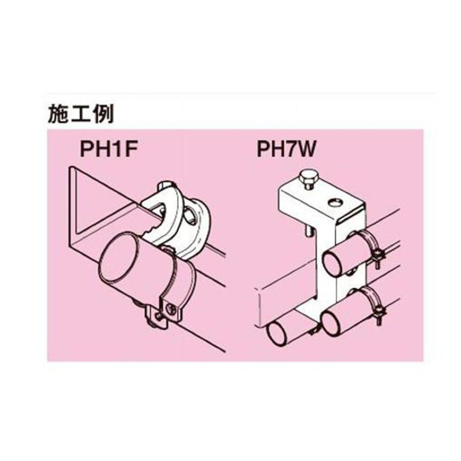 ネグロス　パイラック　ＰＨ１Ｓ-バラ売り５個入り |  | 01