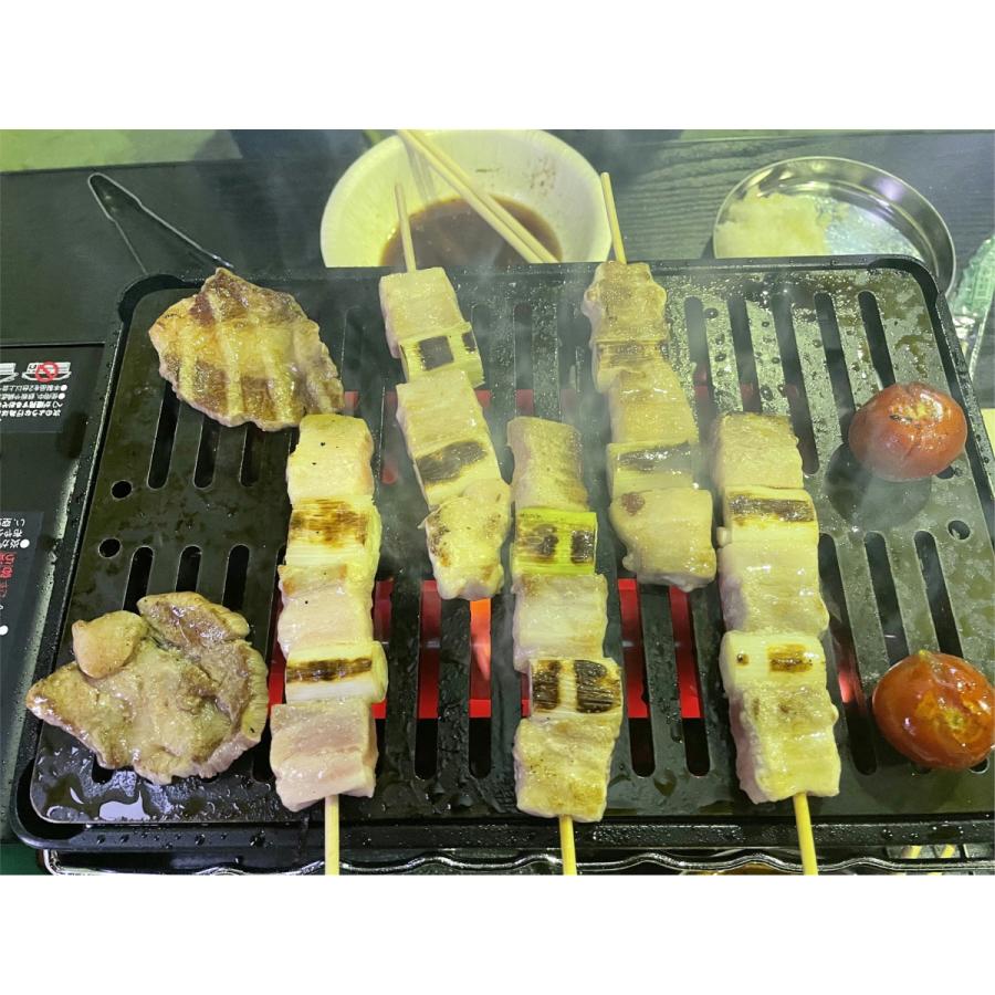 310tech イワタニ炉ばた炙りや/炙りやII対応極厚6mm×180×280バーベキュ−鉄板グリル |  | 10