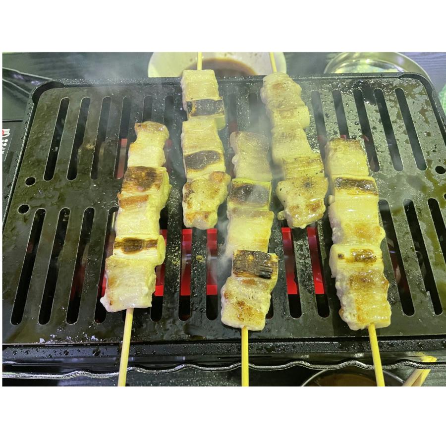 310tech イワタニ炉ばた炙りや/炙りやII対応極厚6mm×180×280バーベキュ−鉄板グリル |  | 11