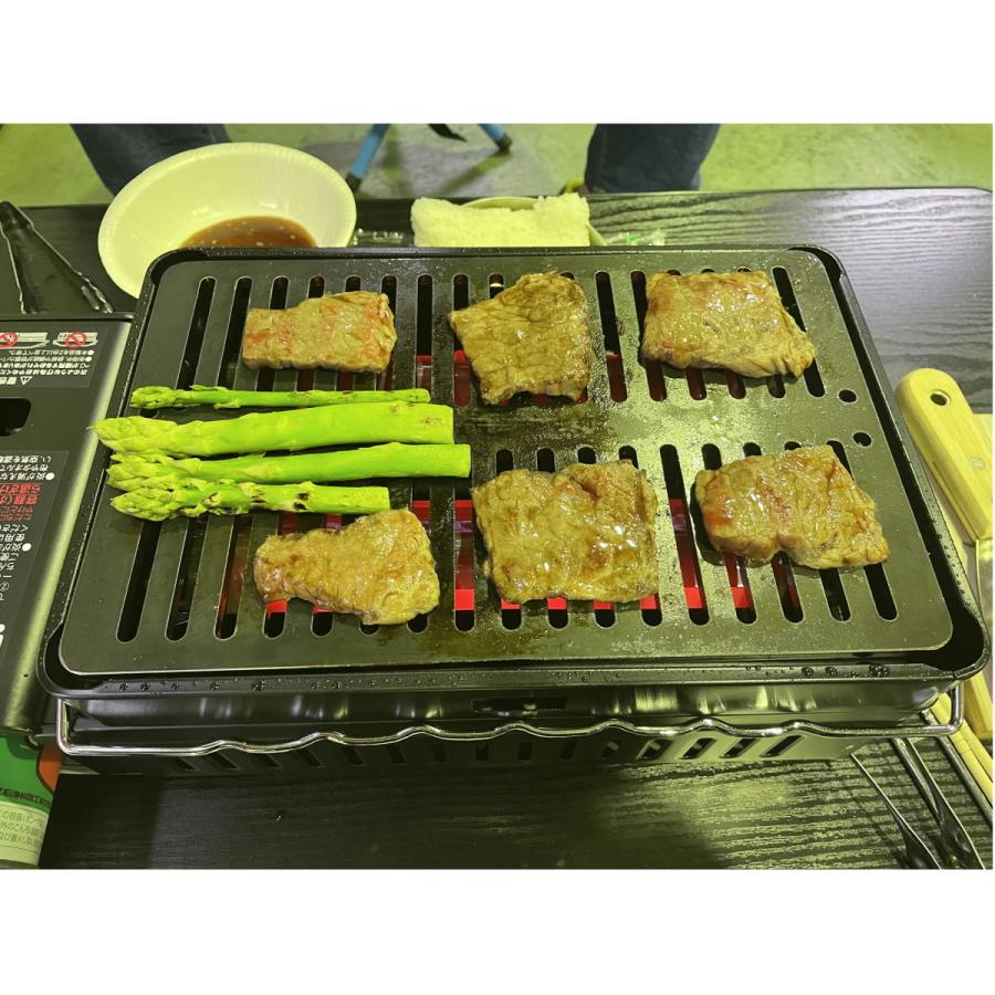 310tech イワタニ炉ばた炙りや/炙りやII対応極厚6mm×180×280バーベキュ−鉄板グリル |  | 08