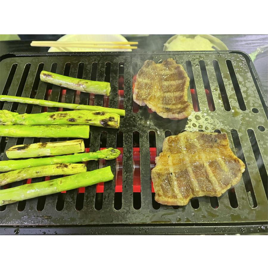 310tech イワタニ炉ばた炙りや/炙りやII対応極厚6mm×180×280バーベキュ−鉄板グリル |  | 09