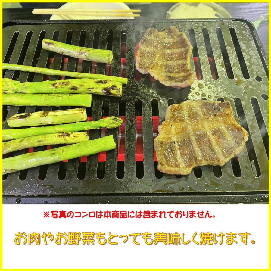 イワタニ炉ばた焼器炙りや/炙りやII専用バーベキュー鉄板グリルプレート板厚6.0mm スクレパー付タイプ　310tech　日本製　 |  | 05