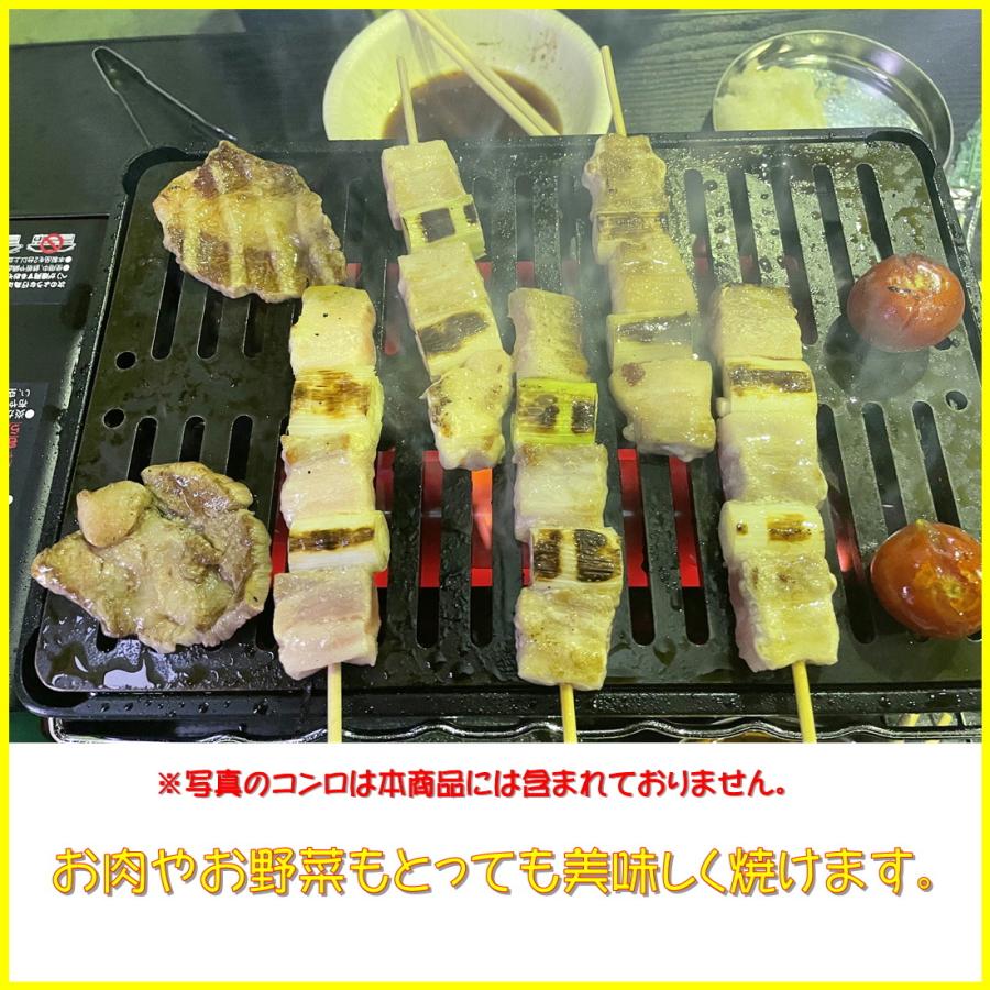 イワタニ炉ばた焼器炙りや/炙りやII専用バーベキュー鉄板グリルプレート板厚6.0mm スクレパー付タイプ　310tech　日本製　 |  | 07