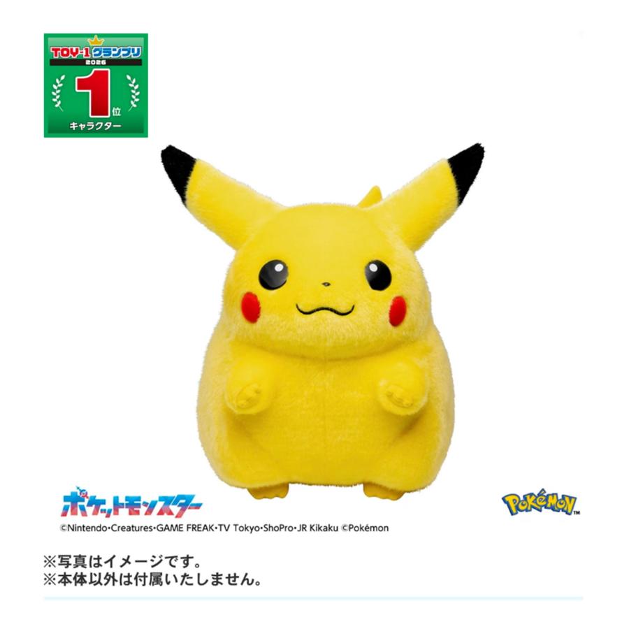 ポケットモンスター ポケモン30周年記念 おかえり!ピカチュウ1/1 | タカラトミー
