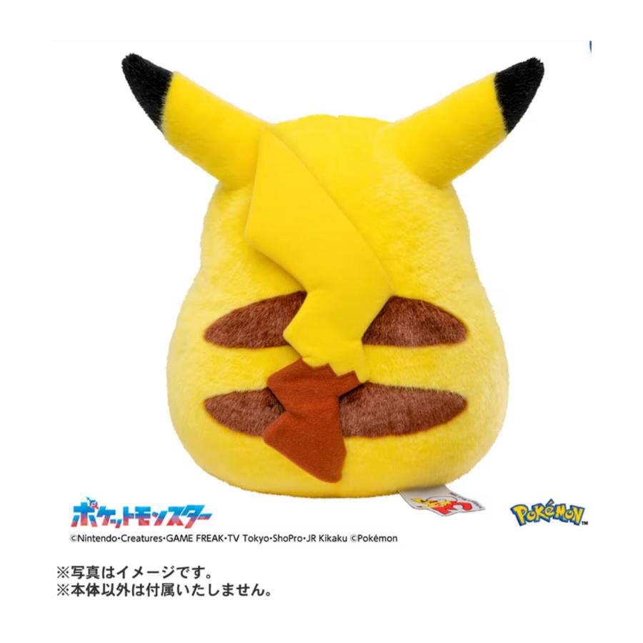 ポケットモンスター ポケモン30周年記念 おかえり!ピカチュウ1/1 | タカラトミー | 01