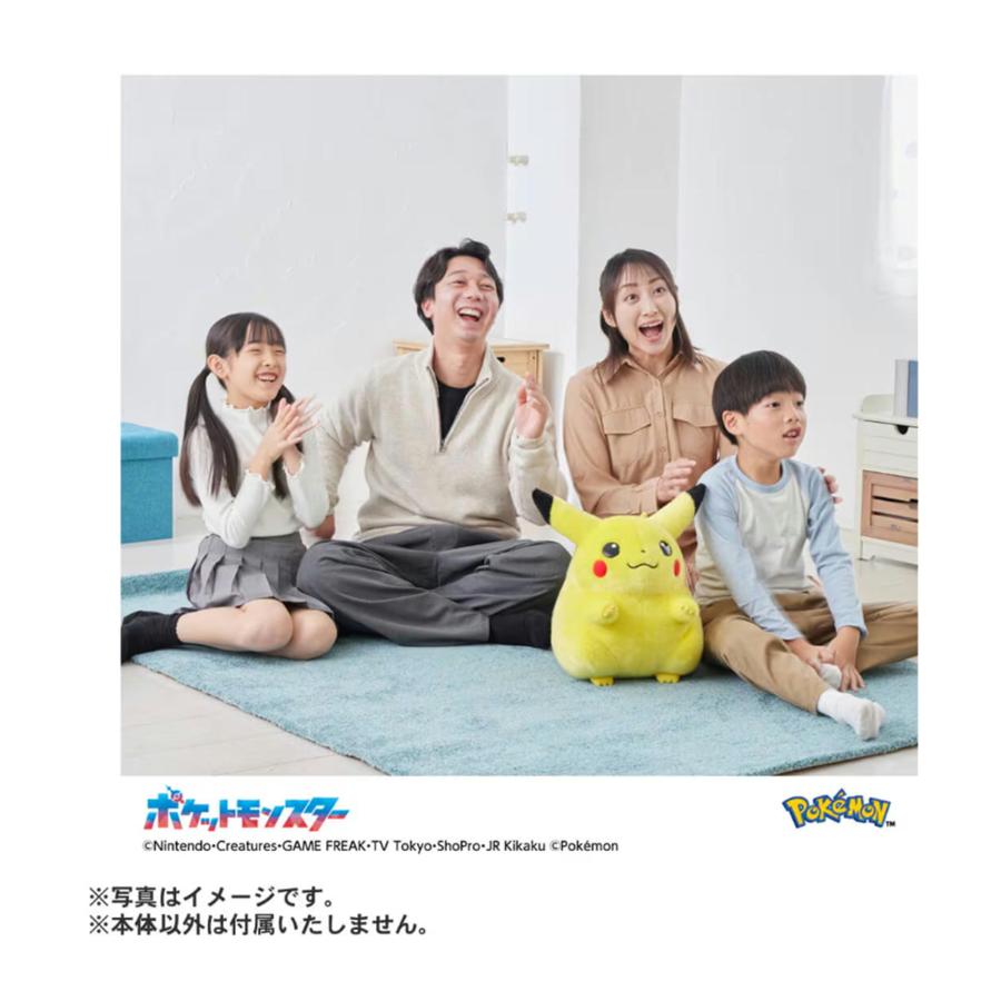 ポケットモンスター ポケモン30周年記念 おかえり!ピカチュウ1/1 | タカラトミー | 02