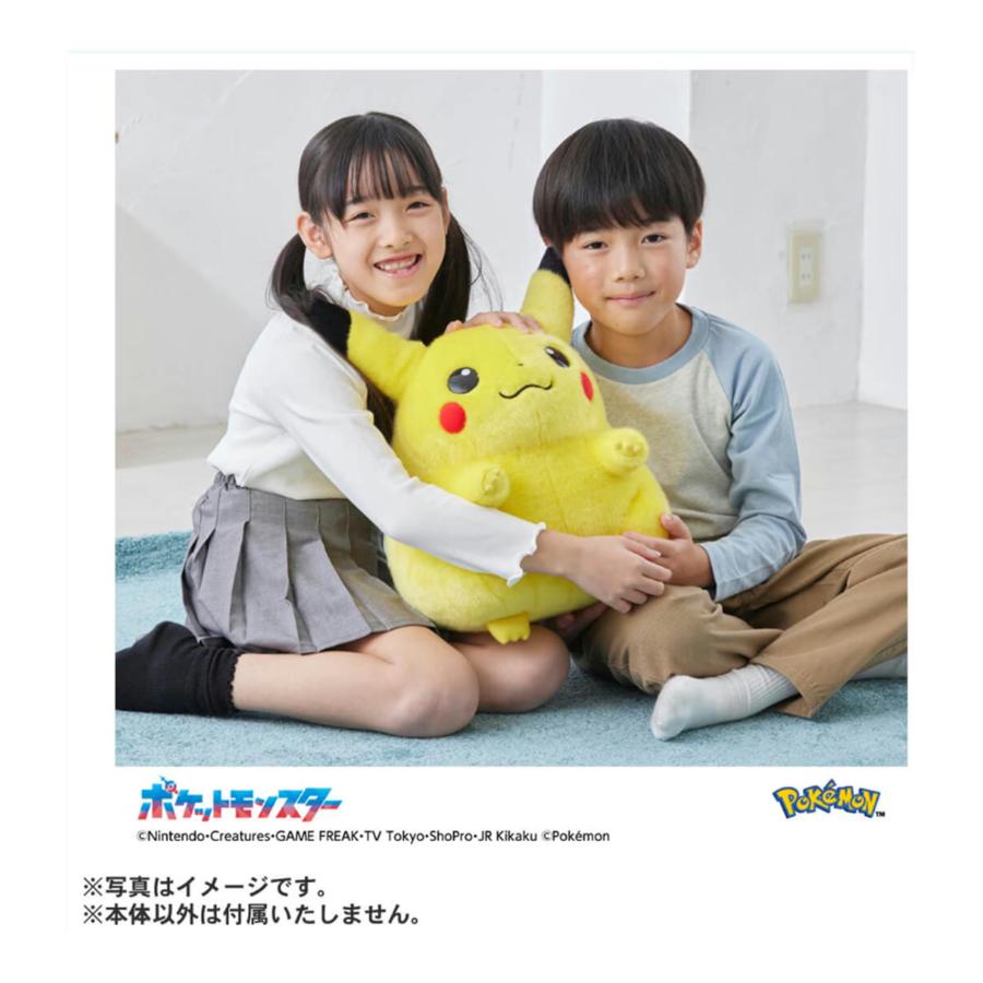 ポケットモンスター ポケモン30周年記念 おかえり!ピカチュウ1/1 | タカラトミー | 03