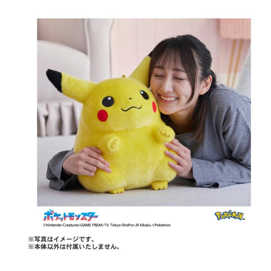 ポケットモンスター ポケモン30周年記念 おかえり!ピカチュウ1/1 | タカラトミー | 04