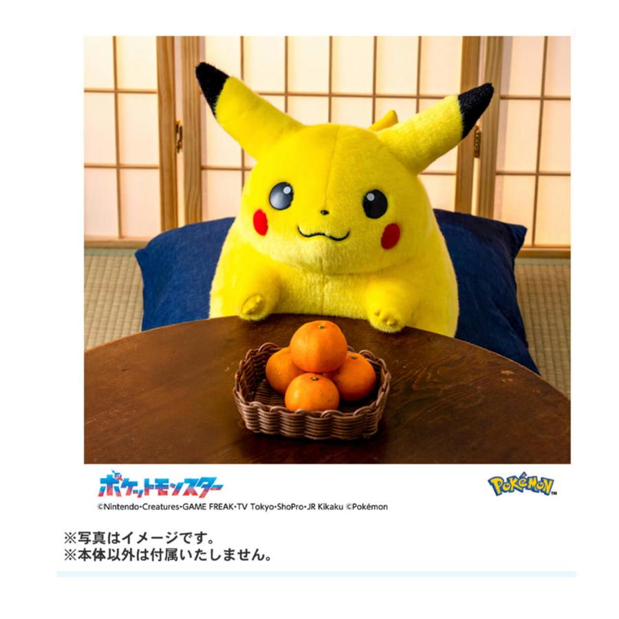 ポケットモンスター ポケモン30周年記念 おかえり!ピカチュウ1/1 | タカラトミー | 07