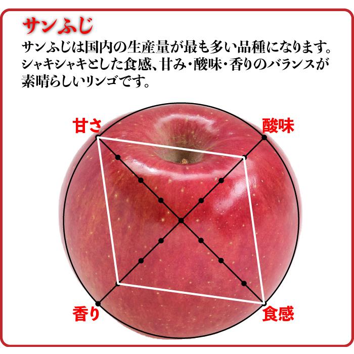 りんご 10kg 訳あり 青森県産 送料無料 葉取らずりんご 40玉前後 蜜入り サンふじ 王林 ぐんま名月 あいかの香り リンゴ 林檎 お得用 果物 フルーツ Wake Hatoraz10 315ショップ 通販 Yahoo ショッピング