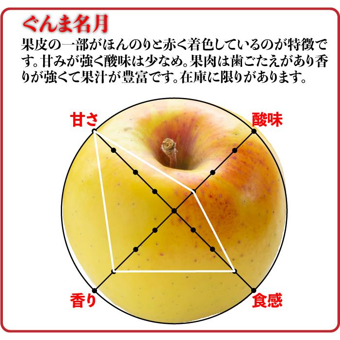 訳ありりんご 10kg 40玉前後 青森県産 送料無料 葉取らずりんご 訳ありりんご 10kg 40玉前後 青森県産 送料無料 葉取らずりんご