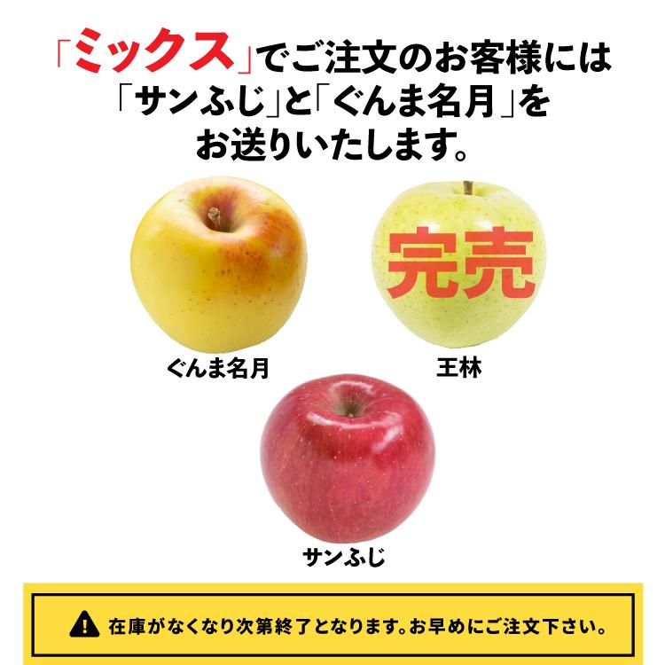 訳ありりんご 10kg 40玉前後 青森県産 送料無料 葉取らずりんご 訳あり