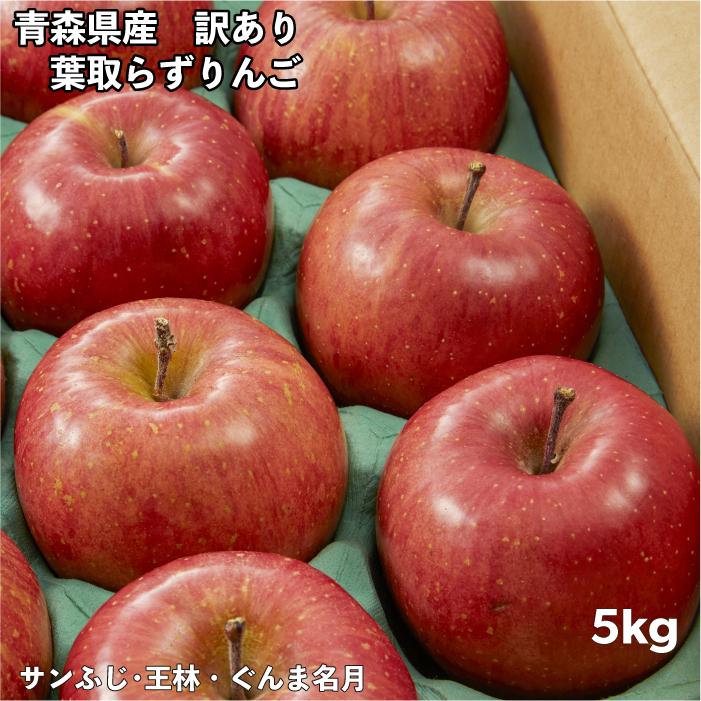 訳ありりんご 5kg 20玉前後 訳あり 青森県産 品種おまかせ 送料無料 葉