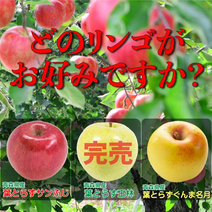 青森県産 減農薬 訳ありりんご「サンふじ」 ピンコサイズ 梱包込み約20キロ 即日発送実施中！】青森県産 訳あり りんご サンふじ 5kg(ご家庭用/11