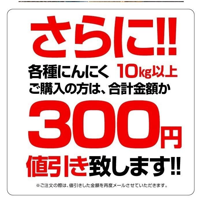 訳あり 乾燥にんにく 大玉 1kg 令和6年産 5kg以上ご購入で送料無料 