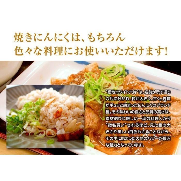 訳あり 乾燥にんにく 大玉 1kg 令和5年産 5kg以上ご購入で送料無料 国産 青森県産 福地ホワイト六片 Lサイズ 食品 香味野菜 にんにく 大蒜 健康のために｜315shop｜13