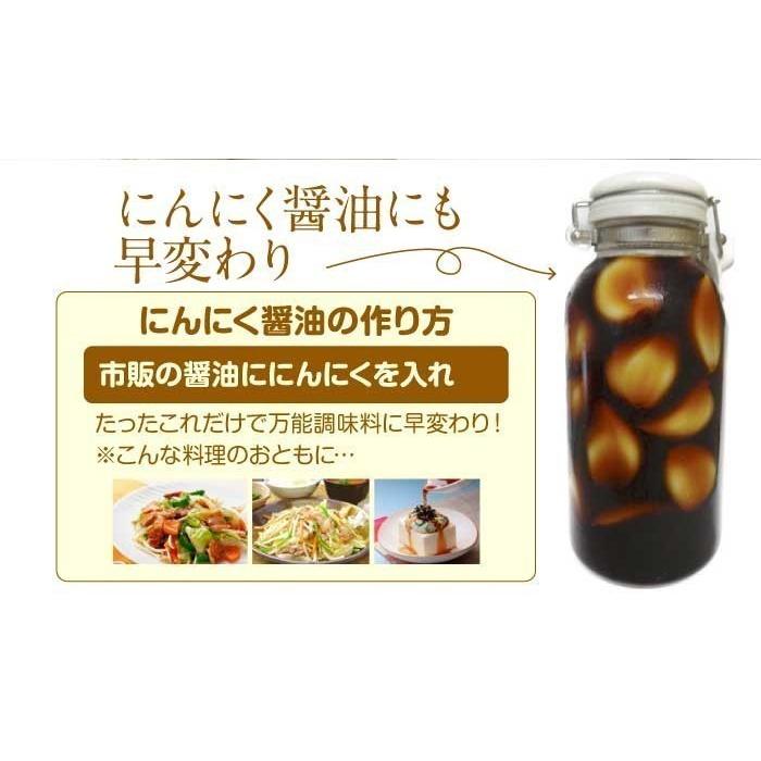 訳あり 乾燥にんにく 大玉 1kg 令和5年産 5kg以上ご購入で送料無料 国産 青森県産 福地ホワイト六片 Lサイズ 食品 香味野菜 にんにく 大蒜 健康のために｜315shop｜03