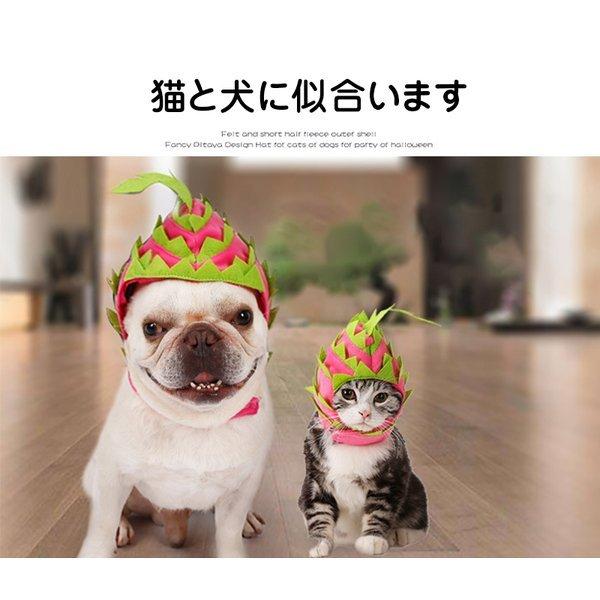 ハロウィン ペット用 変身 仮装 ペット 帽子 小型犬 犬 キャップ 犬用 ドラゴンフルーツ おしゃれ 子犬 かぶりもの コスプレ 秋 冬 犬用品 31sbon Olawvgpsmv 三一商事 通販 Yahoo ショッピング