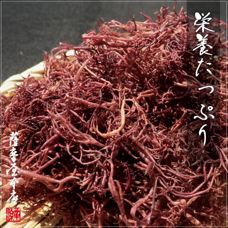 天然ふのり 国内産 100g 水洗い まふのり フクロフノリ 乾燥 ドライ