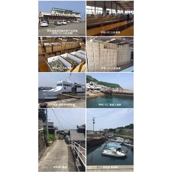 2025年新物 伊吹いりこ 500g 大羽〜中羽 香川県伊吹島産100％ 煮干し にぼし 酸化防止剤不使用 無添加 地域団体商標登録 第5441187号 観音寺 銀付 |  | 03