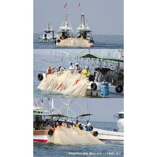 2025年新物 伊吹いりこ 1kg 大羽〜中羽 香川県伊吹島産100％ 煮干し にぼし 酸化防止剤不使用 無添加 地域団体商標登録 第5441187号 観音寺 銀付 |  | 04