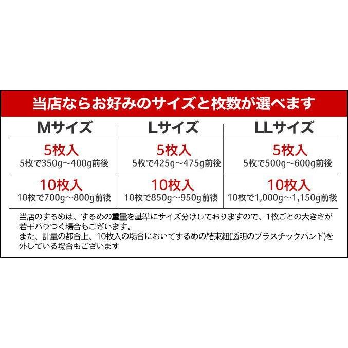 北海道松前産 北海するめ LLサイズ 5枚入 超特大 1,000〜1,100g前後