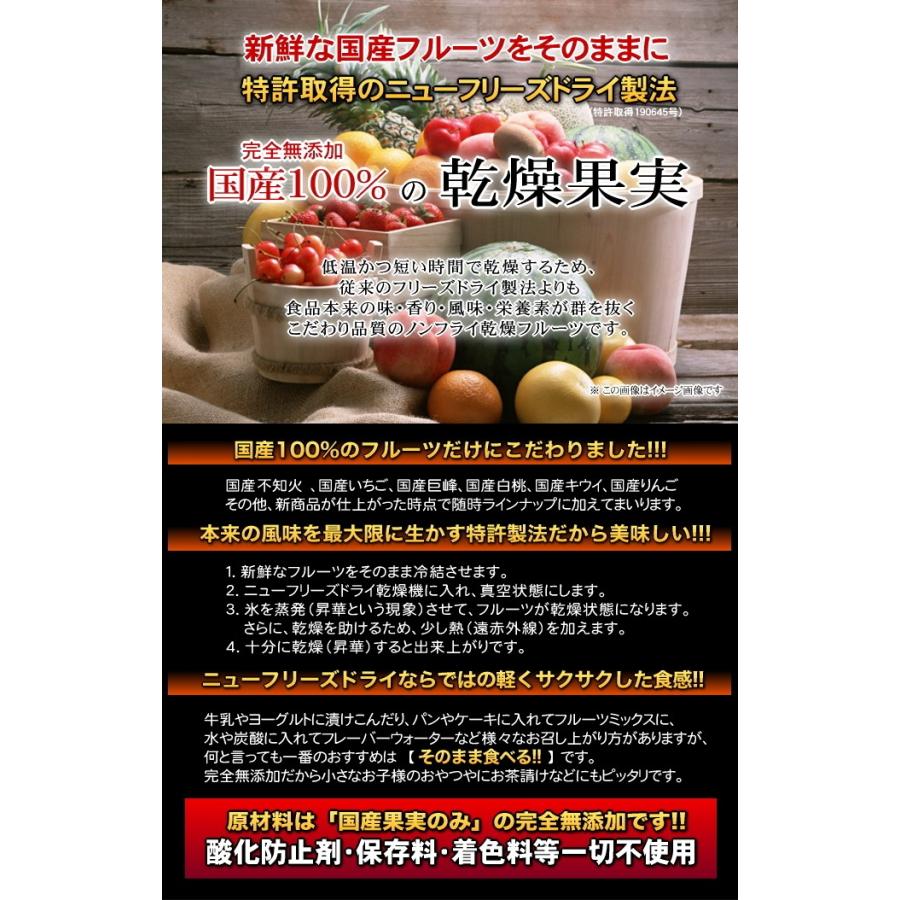 国産乾燥果実シリーズ 巨峰 300g 送料無料 国産原料100％ 〜ニューフリーズドライ製法（特許取得）〜 |  | 01