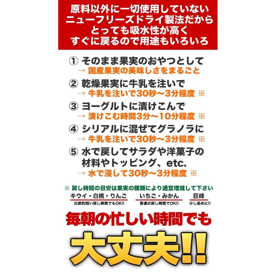 国産乾燥果実シリーズ／乾燥メロン／18g／国産原料100％／ニューフリーズドライ製法／特許取得／FD／AD／ドライ／エアドライ／ドライフルーツ／果物 |  | 04
