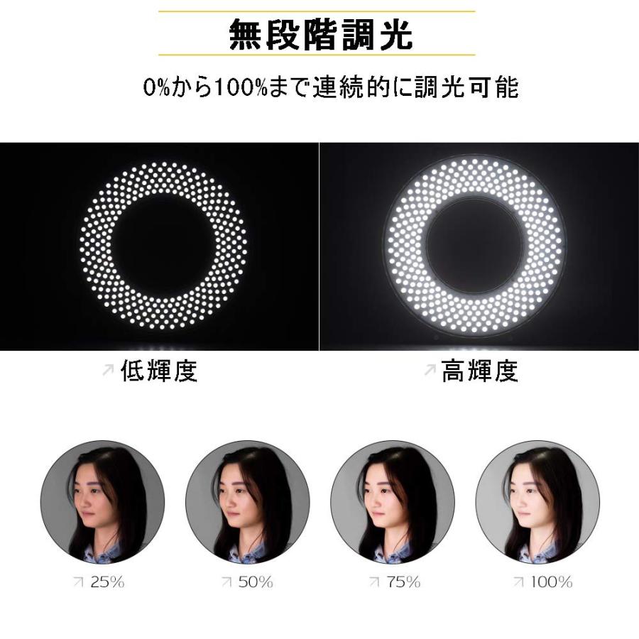 F＆V R300S SE LEDリングライト CRI95二色無段階調光 小型軽量 ビデオ撮影用