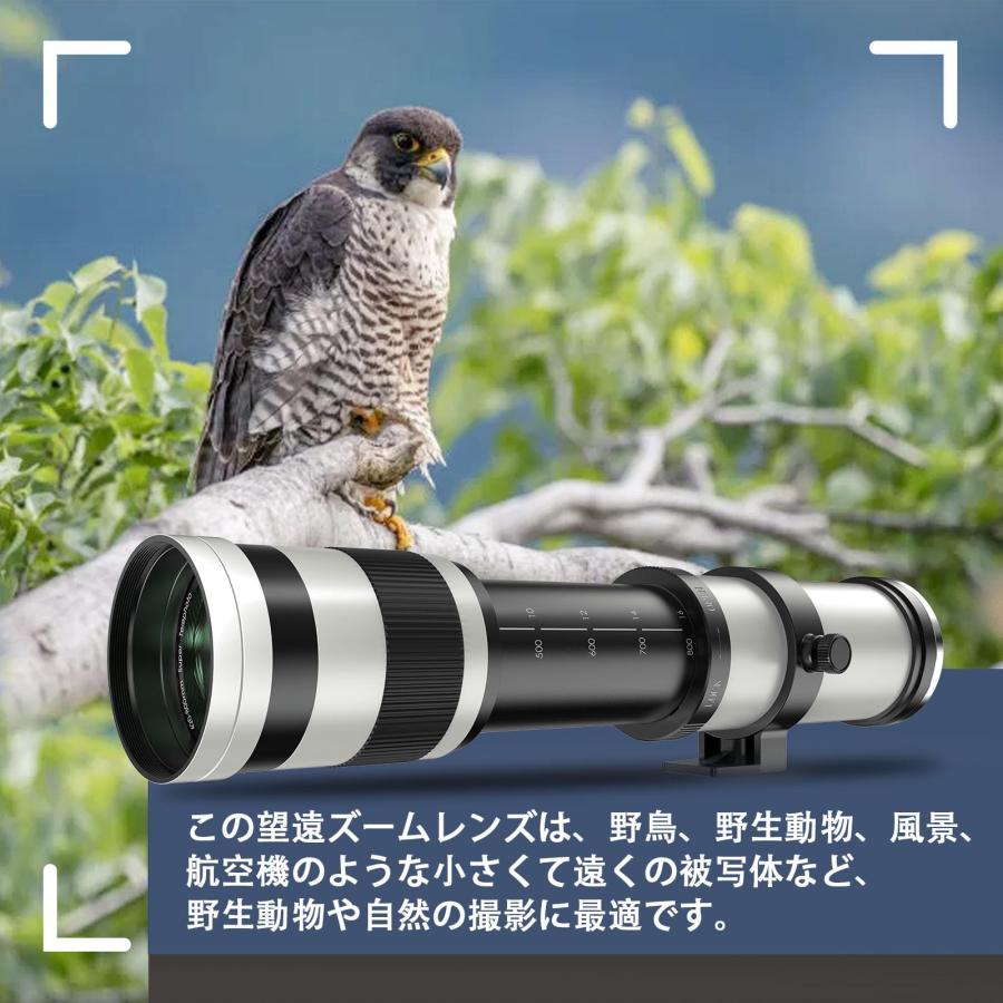 Lightdow 望遠 ズーム レンズ 420-800mm F/8.3-16 対応キヤノンEF/EF-S