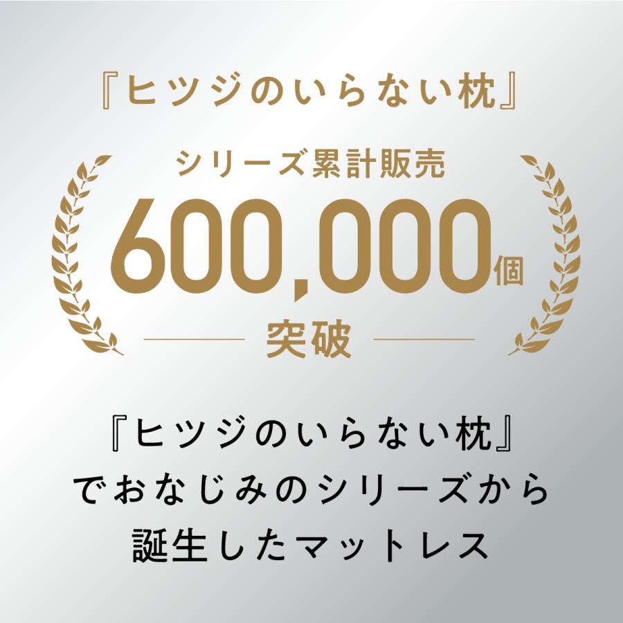 ヒツジのいらない枕 マットレストッパー 高反発 セミダブル ヒツジのいらない枕 マットレストッパー 高反発 セミダブル