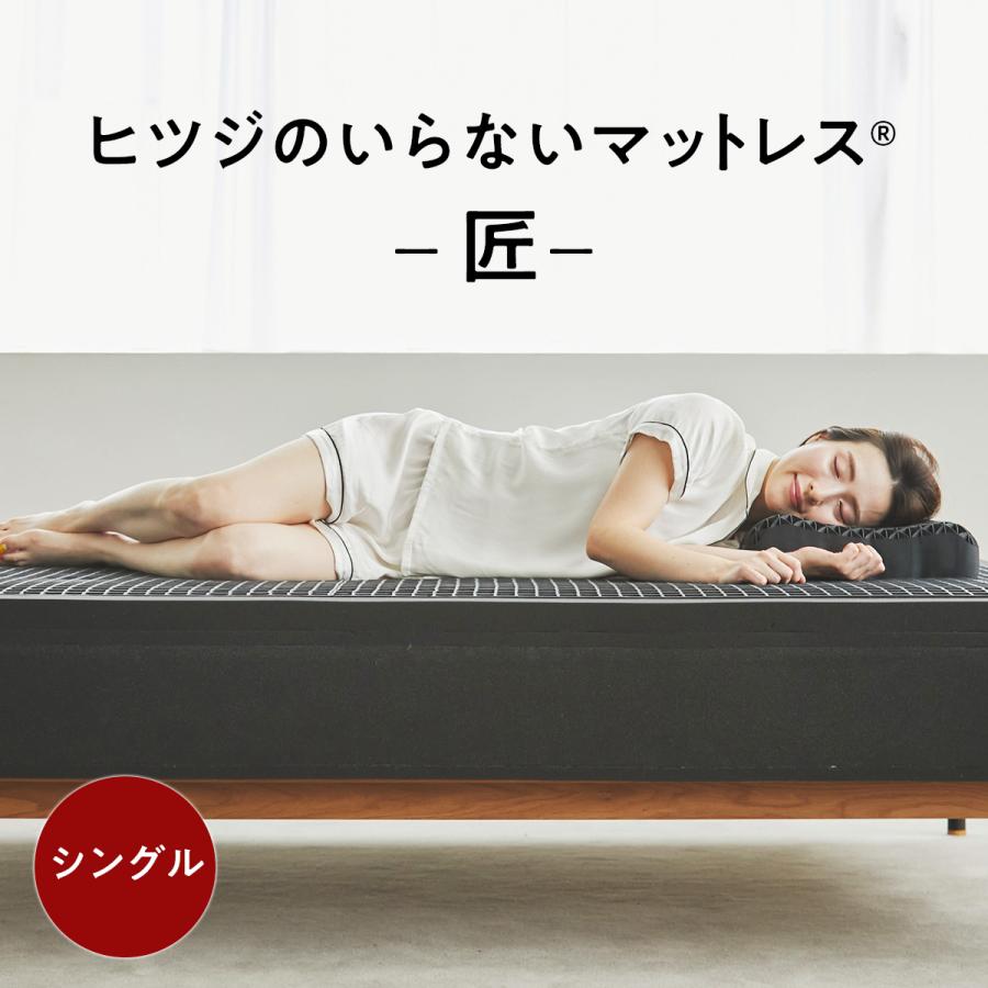 ヒツジのいらないマットレスシングル180~204×92~105×3cm丸洗い済み ヒツジのいらないマットレスシングル180~204×92~105×3cm丸洗い済み