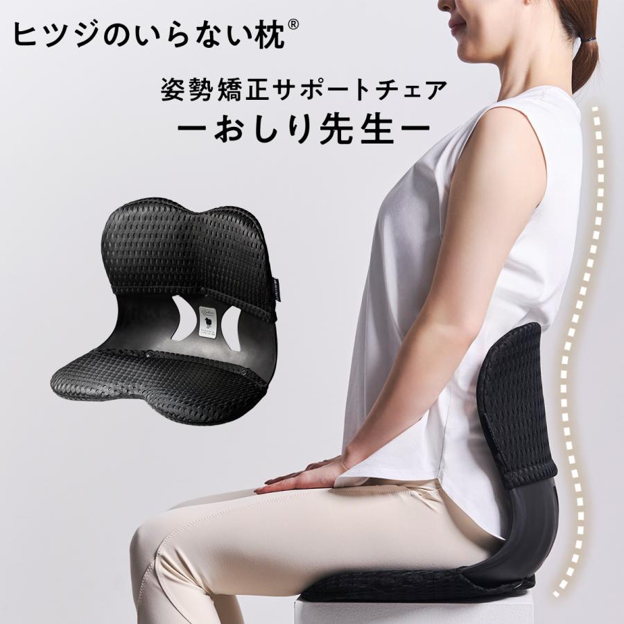 おしり先生　腰サポーター　ヒツジのいらない枕 ヒツジのいらない枕 LINE500円OFFクーポン！ おしり先生 Produced by