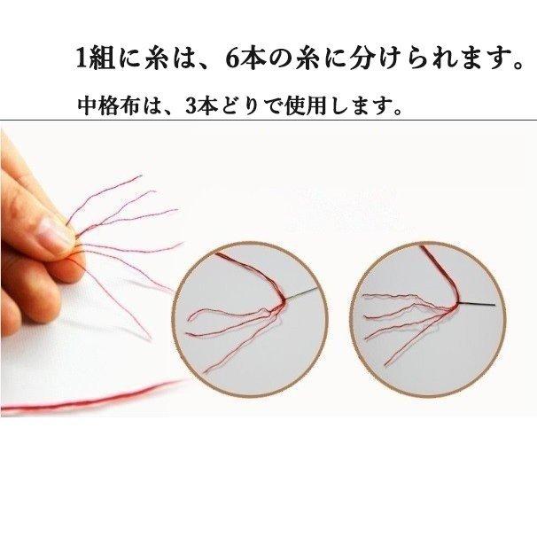 クロスステッチかキット　情熱美少女と椿の花①(11C、図案印刷あり) クロスステッチ キット 華やかな花シリーズ 手芸キット 初心者 図案