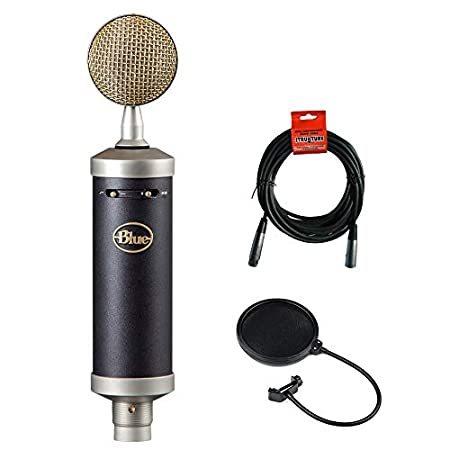 Blue Baby Bottle SL Studio Condenser Microphone With 20' XLR Cable