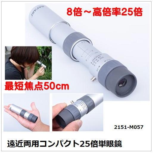 Amazon.co.jp: Kenko 双眼鏡 Pliant オペラグラス 3×25 スリム 3倍 25口径 薄型 折畳式 シルバー 417492 :  家電＆カメラ