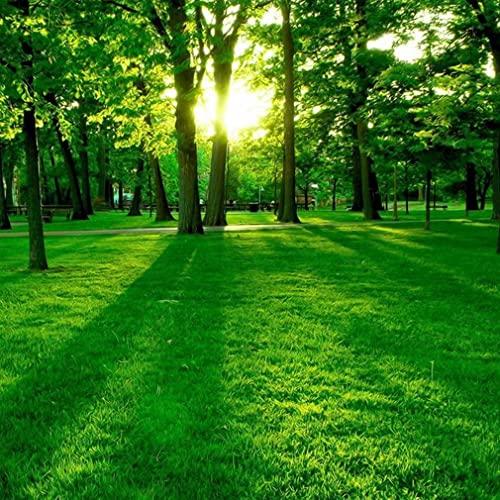 KLUMA クロス パンチニードル 布 ファブリック 刺繍 コットン DIY 手芸用 裁縫 ベージュ