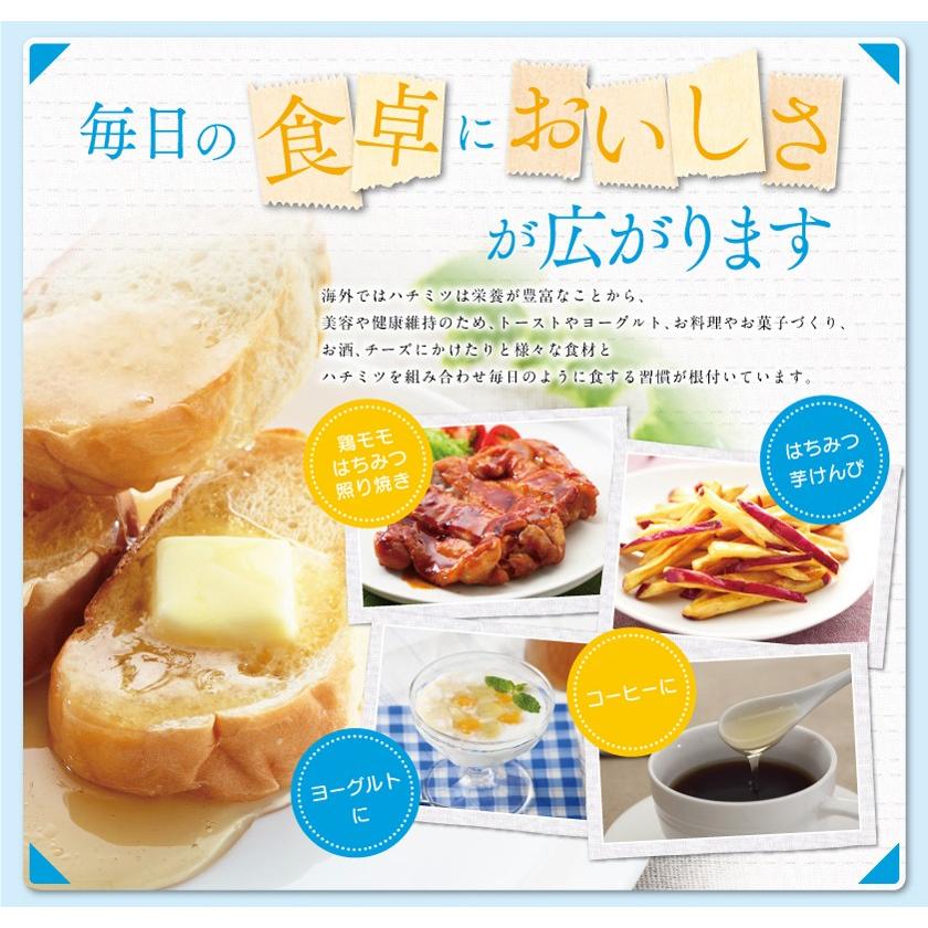 はちみつ 業務用 中国産レンゲはちみつ（蜂蜜）12kg缶詰（受注生産品