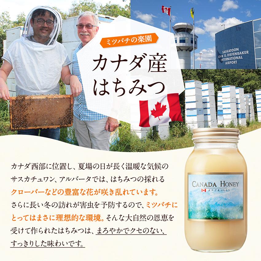 熊手のはちみつ はちみつ カナダ産 蜂蜜 1.2kg（結晶タイプ）純粋蜂蜜